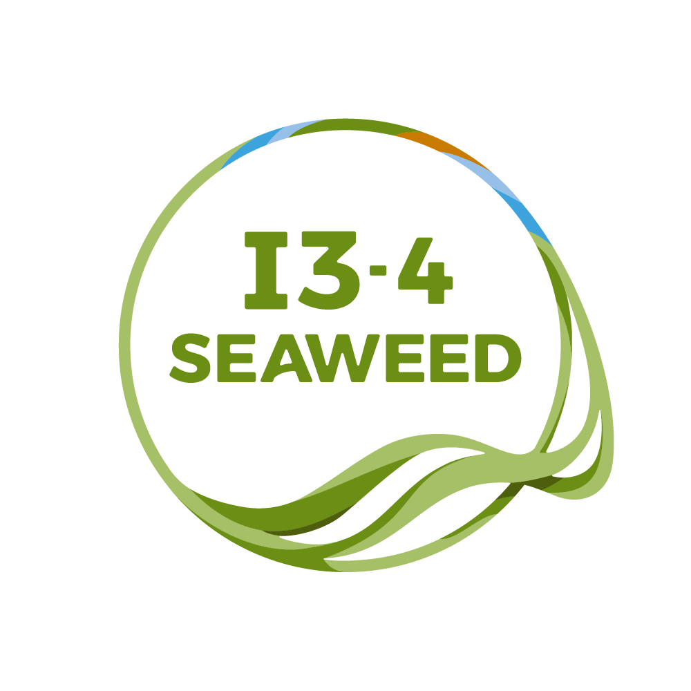 Investing in seaweed innovation across Europe